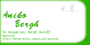 aniko bergh business card